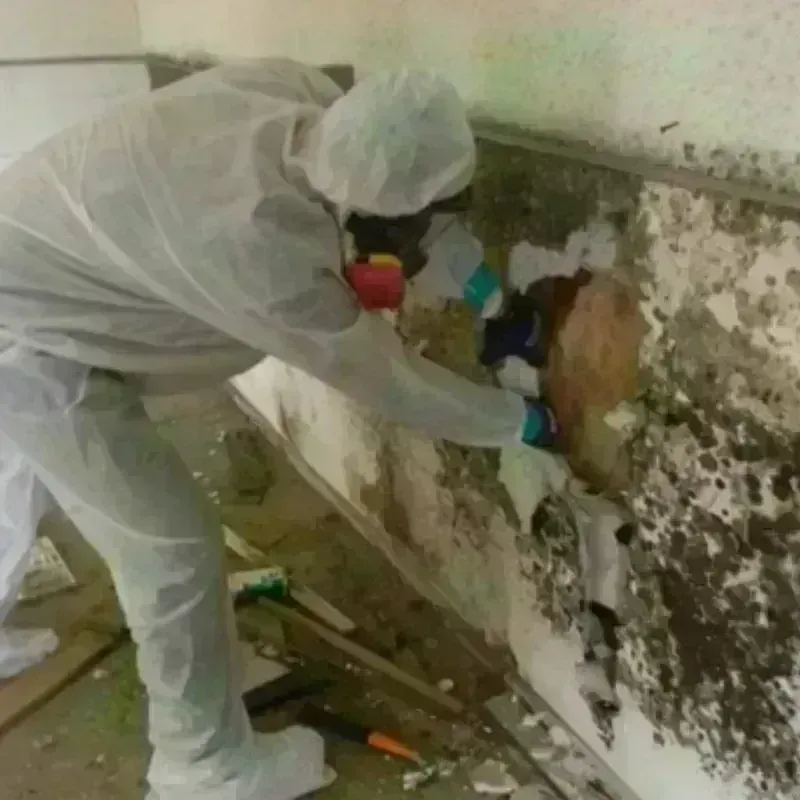 Mold Remediation and Removal in Valparaiso, FL