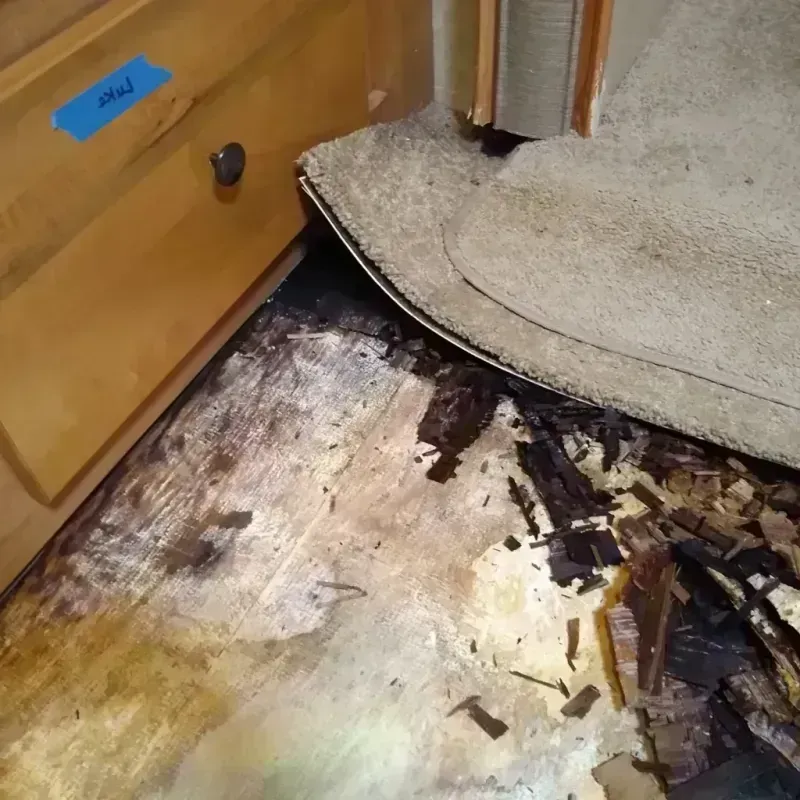 Best Wood Floor Water Damage Service in Valparaiso, FL